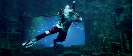 L’aquarium de Paris au Trocadéro