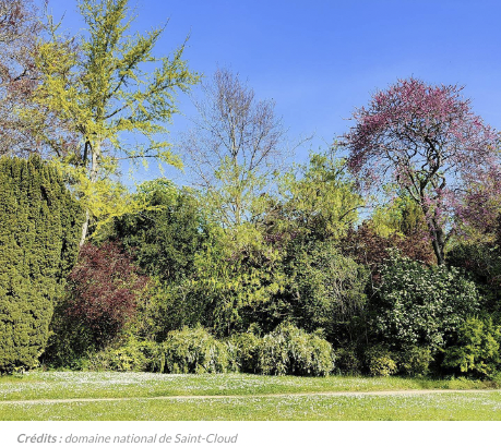 Rendez-vous aux jardins du 3 au 5 juin