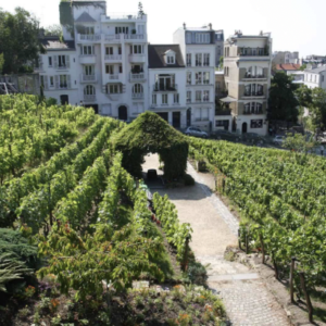 Fête des vendanges à Montmartre