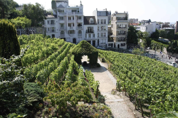 Fête des vendanges à Montmartre