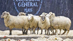 salon l’agriculture jusqu’au mars