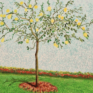 David Hockney, un peintre épicurien, à la Fondation Vuitton. DERNIERS JOURS.
