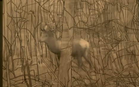 Gerhard Richter à la Fondation Vuitton