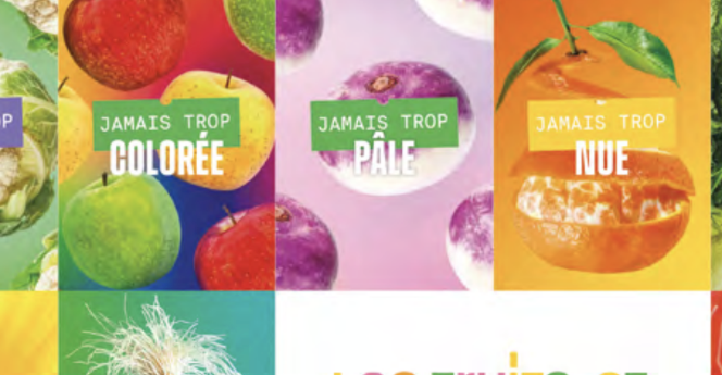 LE SALON INTERNATIONAL DE L&rsquo;AGRICULTURE