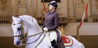 L’école  espagnole d’équitation de Vienne