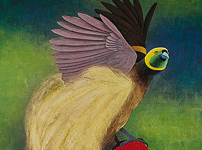 Plumes du Paradis : Voyages d&rsquo;un oiseau extraordinaire de Nouvelle Guinée