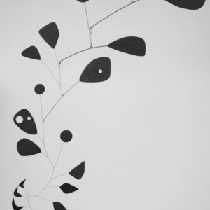 « Calder. Rêver en équilibre ». Fondation  Louis Vuitton